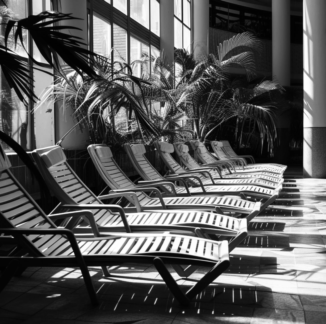 photographie - nikkovico